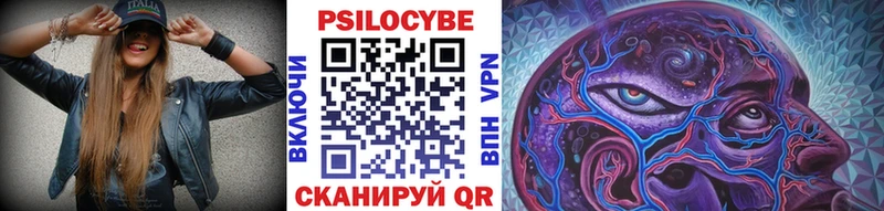 Купить закладки  Зеленоградск  Псилоцибиновые грибы Magic Shrooms 