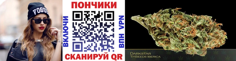 Купить где  Зеленоградск  Каннабис ГИДРОПОН 